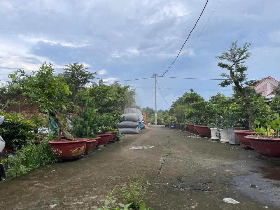 Đất nền phường Mỹ Phong, TP Mỹ Tho 105m² giá 670 triệu - Sổ hồng chính chủ, pháp lý rõ ràng!