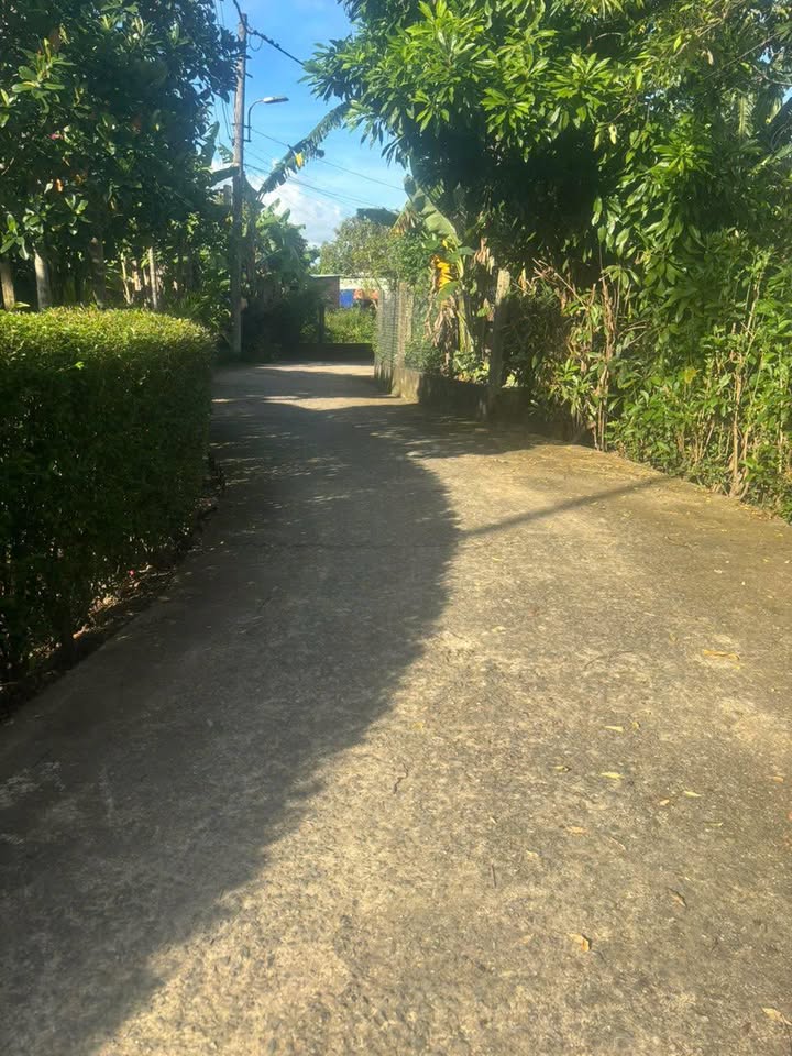 Đất nền Hòa Tiến, Đà Nẵng 195m² giá 1.2 tỷ - Đường thông thoáng gần UBND