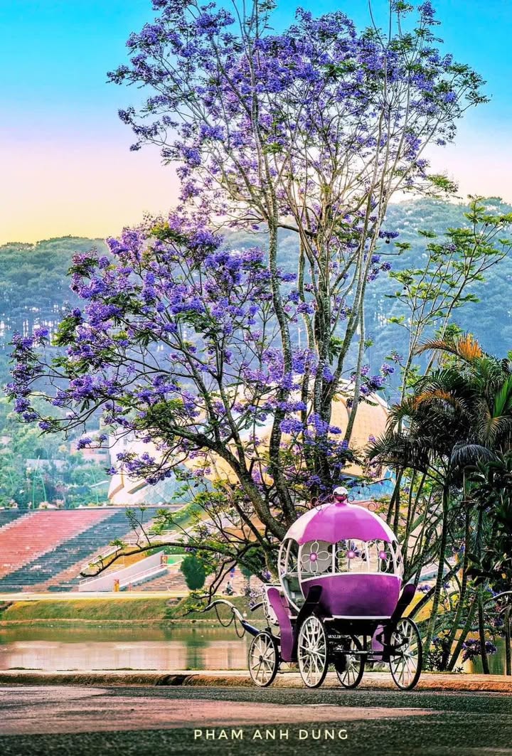 Bán đất Triệu Việt Vương Đà Lạt 1800m² giá 90 tỷ - Sổ đỏ chính chủ!