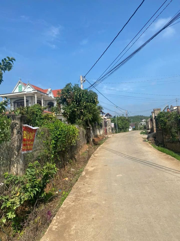 Đất Ninh Gia – Gần Làng Chùa Đại Ninh 288m² chỉ 900 triệu - Cơ hội đầu tư hấp dẫn!