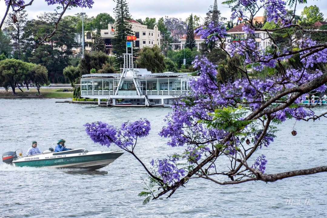 Đất nền An Sơn phường Xuân Hương Đà Lạt 202m² giá 10.1 tỷ - Cơ hội đầu tư tuyệt vời!