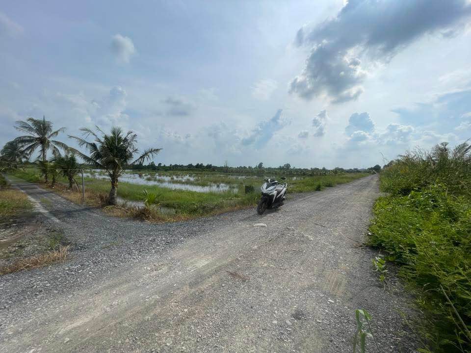 Đất nền 1000m² tại Ấp 3, Tân Thành, Thủ Thừa - Giá chỉ 545 triệu, thương lượng gấp!