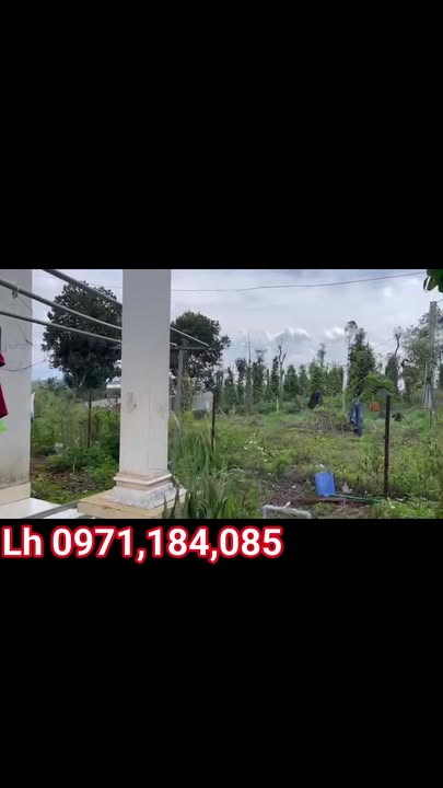 Nhà cấp 4 thôn 10, Nam Bình, Đắk Nông 450m² giá 850 triệu - Cần bán gấp!