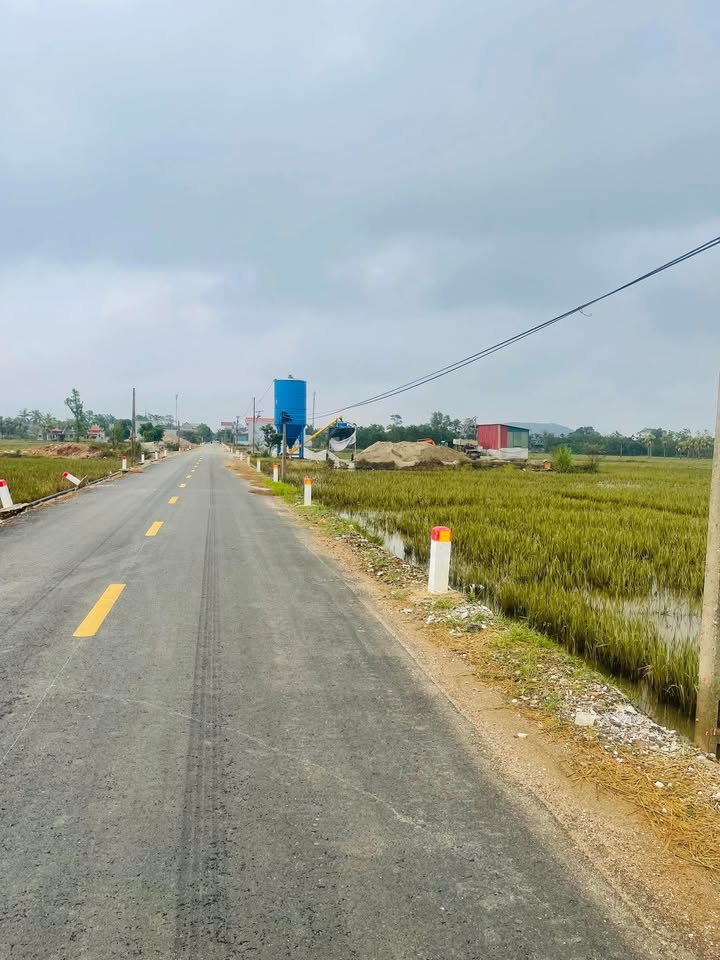 Đất nền Trường Giang Nông Cống 150m² giá chỉ 500 triệu - Cơ hội đầu tư sinh lời!