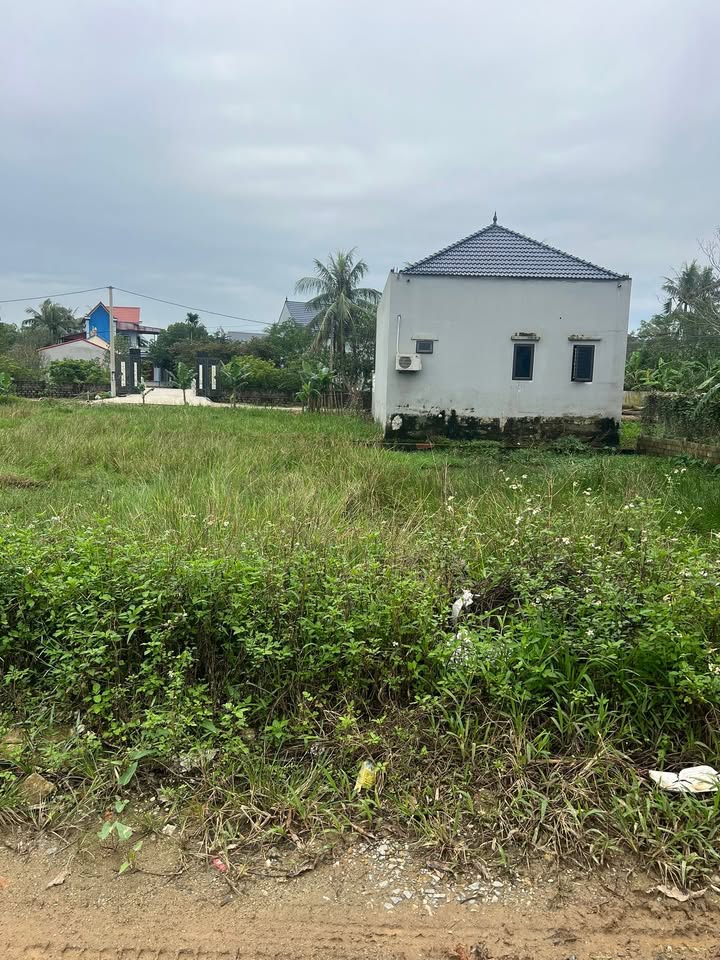 Đất thổ cư Vạn Hoà, Nông Cống, 100m² chỉ 800 triệu - Cơ hội đầu tư tuyệt vời!