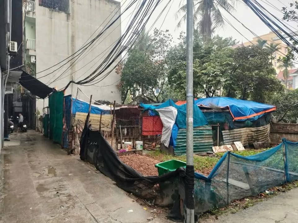 Đất nền Thượng Cát 50m² giá thỏa thuận - Quỹ đất hiếm, ô tô đỗ cổng!