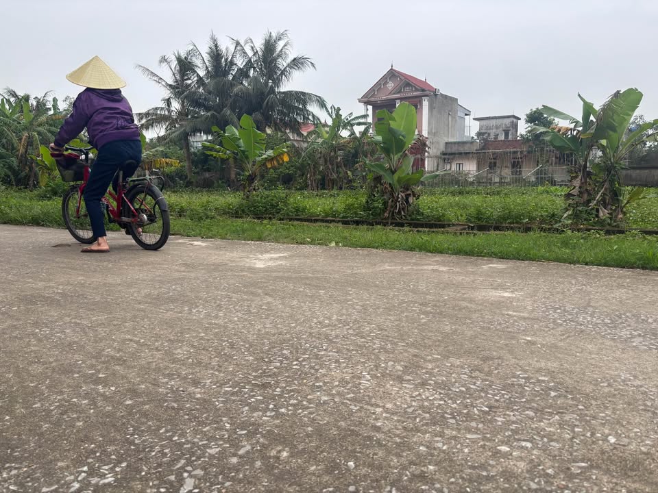 Đất nền Trung Thắng, Hậu Lộc, Thanh Hóa 152m² giá chỉ 1 tỷ - Cơ hội đầu tư tuyệt vời!