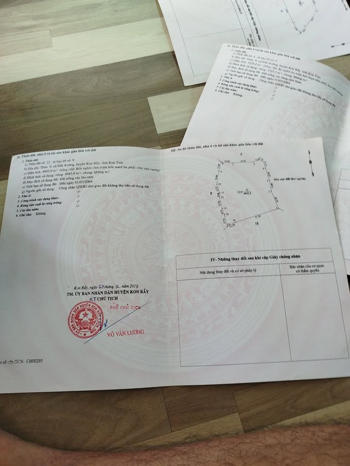 Đất rẫy 14,000m² tại Đăk Ruồng, Kon Rẫy - Thỏa thuận giá hấp dẫn!