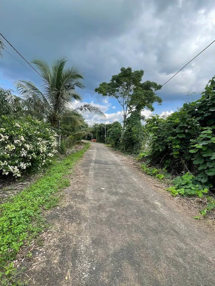 Đất 3 sào 6m² tại Krông Na, Buôn Đôn giá 1.5 tỷ - Đầu tư sinh lời ngay!