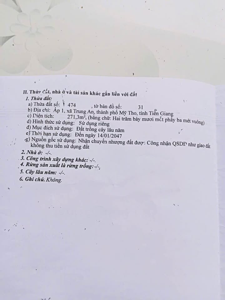 Đất nền Ấp 1, xã Trung An, TP Mỹ Tho 271m² - Giá tốt đầu tư!