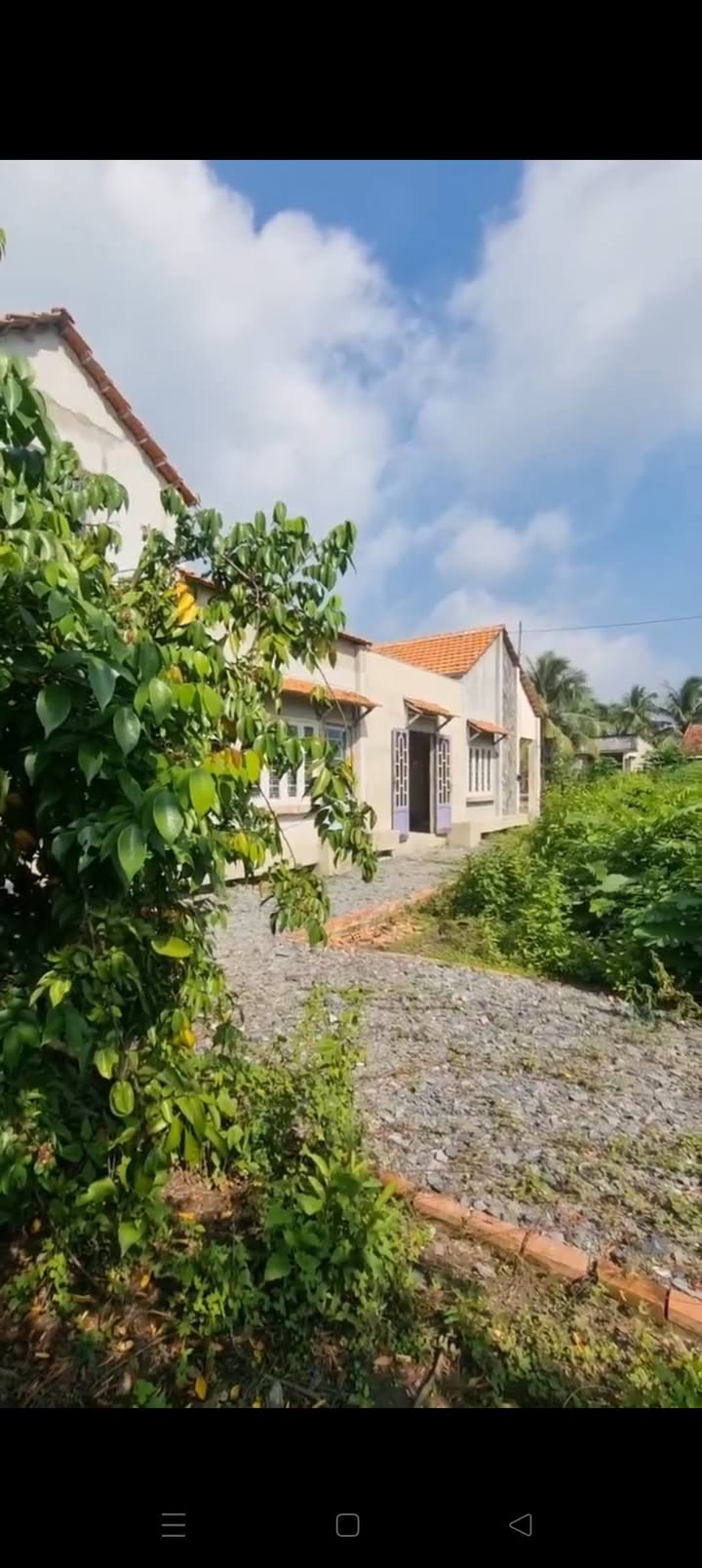 Đất nền Bình Mỹ, Củ Chi 5185m² chỉ 45 tỷ - Mặt tiền sông tuyệt đẹp!