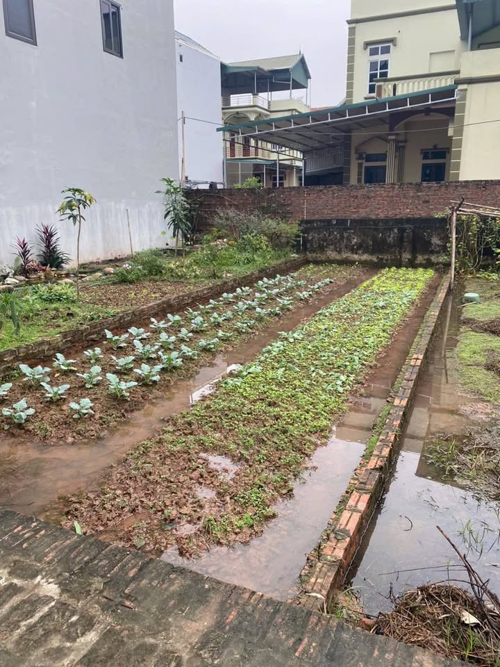 Đất thổ cư Vân Côn, Hoài Đức 53.4m² giá 4 tỷ - Cần bán gấp!