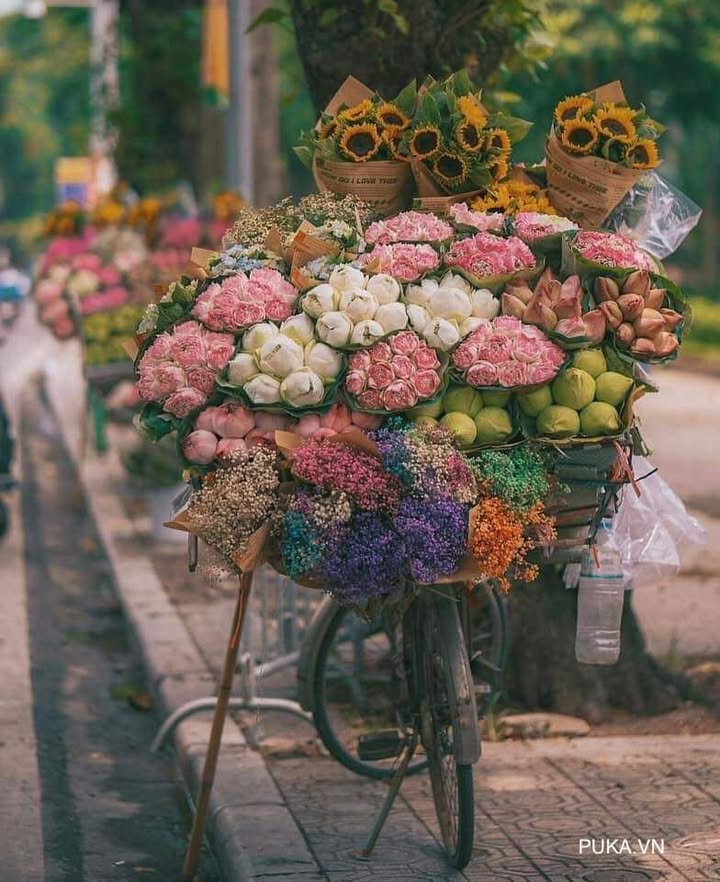 Đất nông nghiệp Đồng Thạnh, Gò Công Tây 20.000m² giá 660 triệu - Đầu tư sinh lời hấp dẫn!