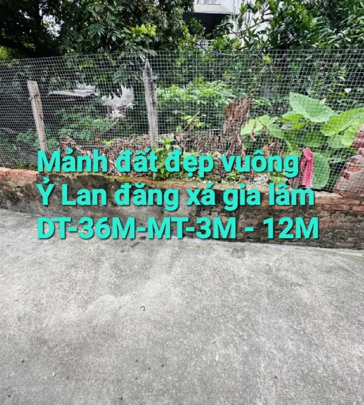 Đất nền Cổ Bi, Gia Lâm 36m² giá 3 tỷ - Vị trí đắc địa, tiềm năng phát triển!