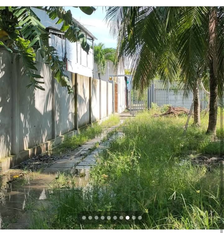 Đất nền Bến Tre 2000m² giá 5.6 tỷ - Tặng nhà cấp 4 200m²!