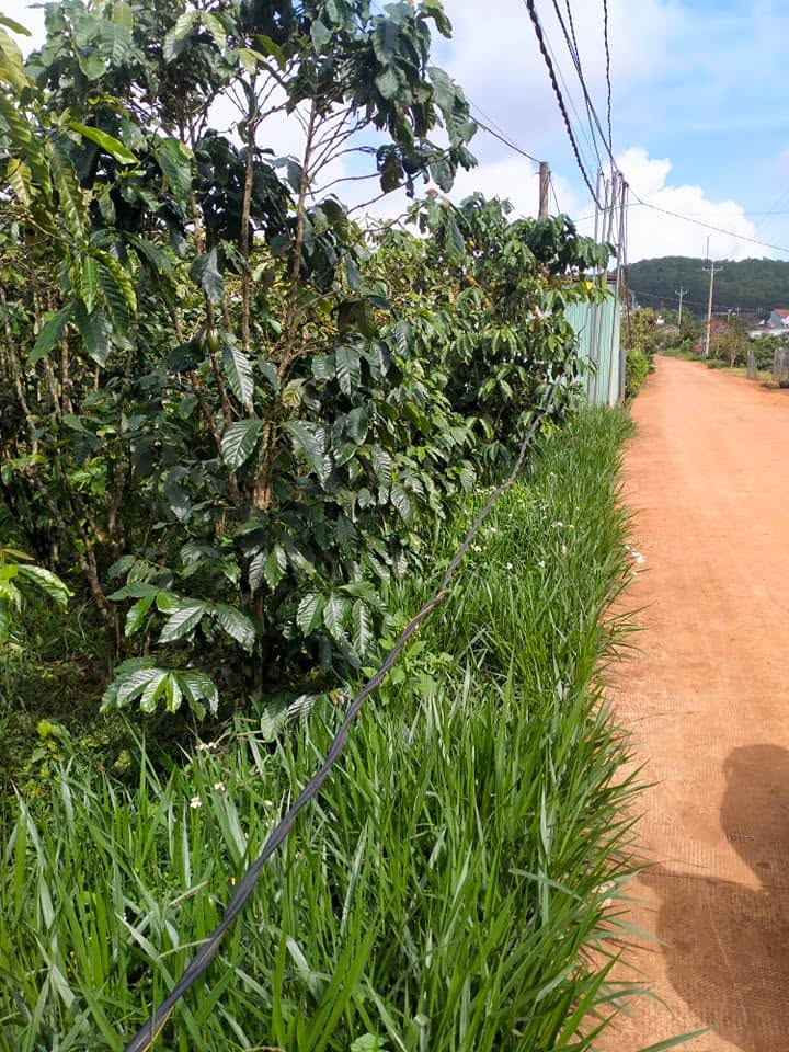 Đất Tân Châu, Di Linh 3500m² giá 2.1 tỷ - Đầu tư lý tưởng cho tương lai!