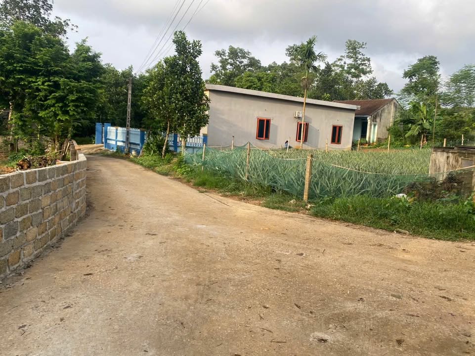 Đất liền kề tại thị trấn Vân Du Thạch Thành 177m² giá 200 triệu - Cơ hội đầu tư sinh lời!