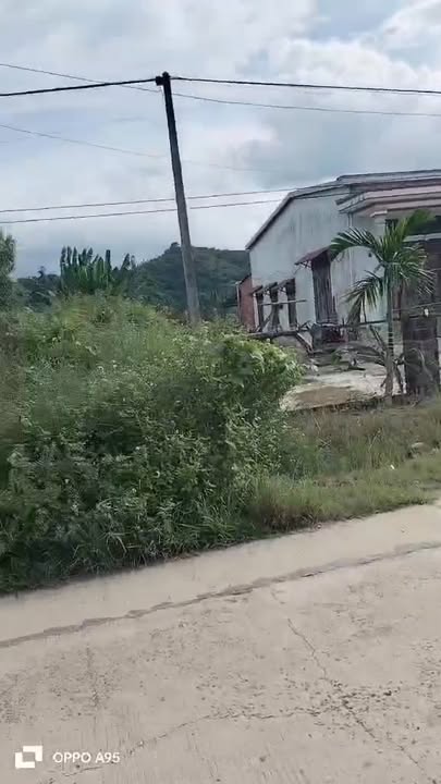 Đất trung tâm Hòa Thành, Krông Bông 450m² giá 650 triệu - Tiềm năng kinh doanh lớn!