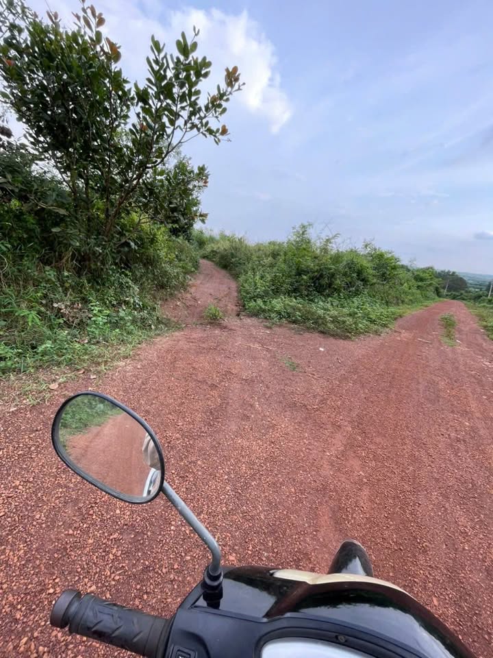 Đất nền Phú Túc 10.268m² giá 5.2 tỷ - Đường xe tải chạy vi vu!