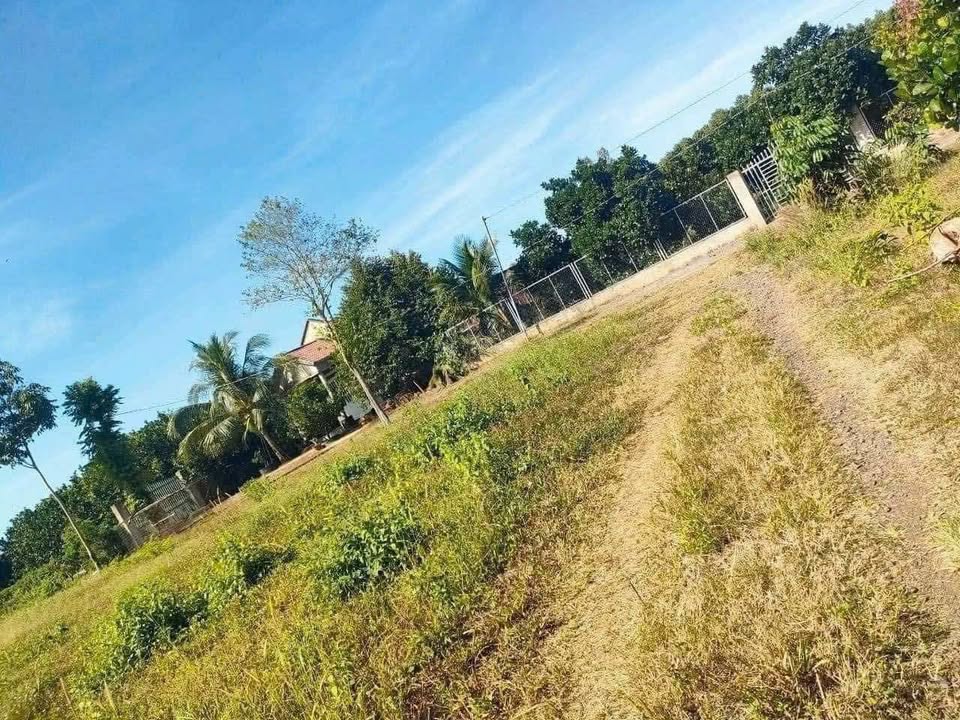 Đất thổ cư 1.103m² tại xã Hưng Lộc, huyện Thống Nhất, giá chỉ 1.3 tỷ - Cơ hội đầu tư tuyệt vời!