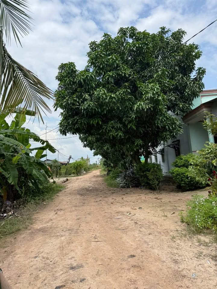 Đất nền Bàu Đưng, Tân Phong, Tân Biên 200m² giá 100 triệu - Sổ đỏ chính chủ