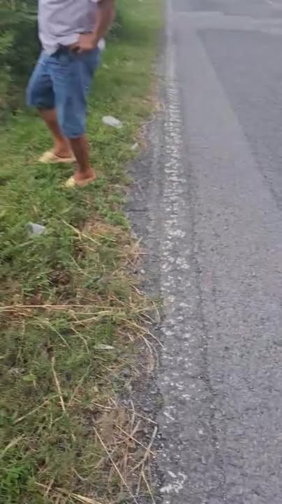 Đất mặt tiền Quốc lộ 54, xã Phong Phú, 675m² giá 8.1 tỷ - Cơ hội đầu tư hấp dẫn!