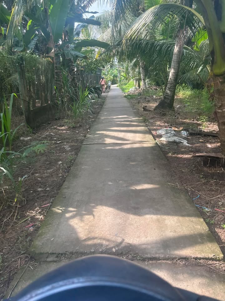 Đất vườn dừa tơ Cầu Kè 3000m² giá chỉ 600 triệu - Cơ hội đầu tư hấp dẫn!