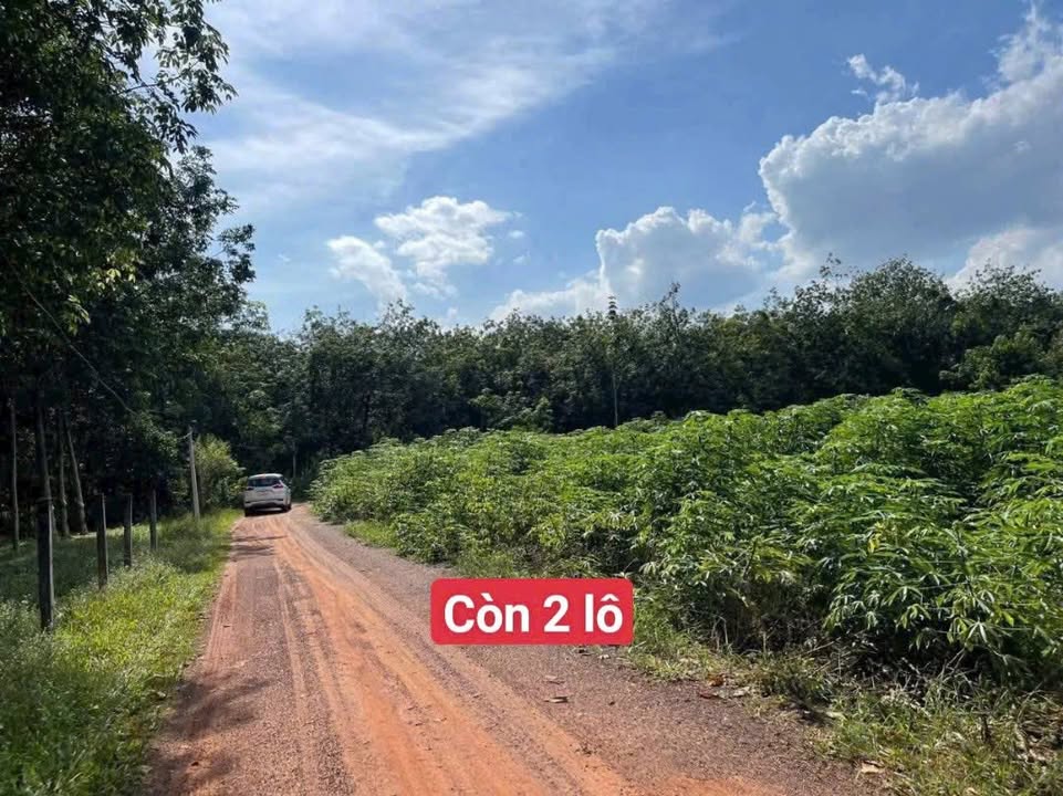 Đất nền Phạm Ngũ Lão, quận 1, 225m² - Giá thỏa thuận, phù hợp xây nhà ở!