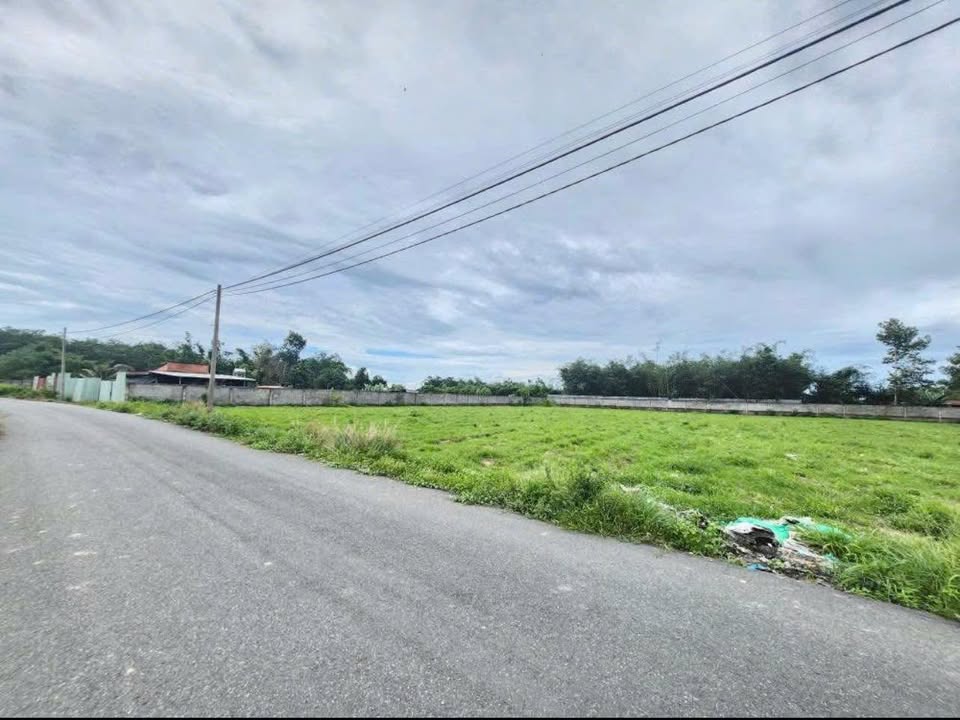 Đất nền An Nhơn Tây Củ Chi 8000m² - Tiềm năng phát triển mạnh mẽ!