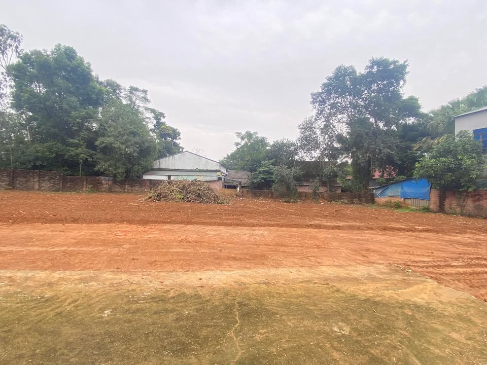 Đất nền mặt tiền 5m tại Thanh Đình, Phú Thọ - Chỉ 1 tỷ, đầu tư sinh lời ngay!