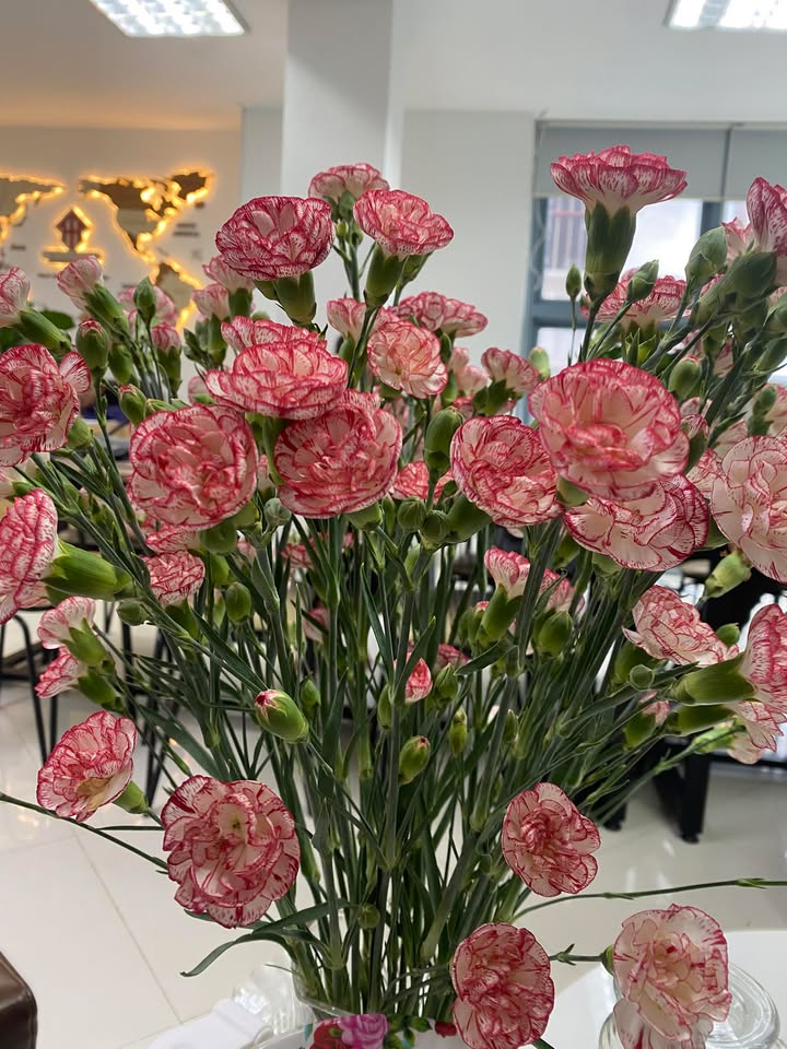 Cho thuê nhà mặt phố Nguyễn Hoàng, Nam Từ Liêm 500m² - Vị trí đẹp, dễ nhận diện thương hiệu!