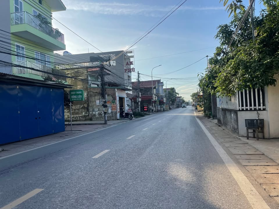 Đất nền mặt đường 203 Hoa Động 75m² giá đầu tư cực tốt - Sẵn sàng cho nhà đầu tư!