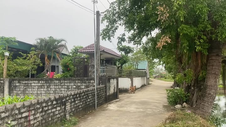 Đất nền Quỳnh Diễn 120m² giá tốt - Đầu tư sinh lời ngay lập tức!