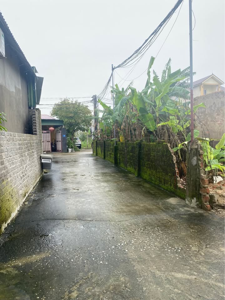 Đất Ngõ Kim Nguyên, Vinh 53.7m² giá 1.4 tỷ - Cơ hội đầu tư hiếm có!