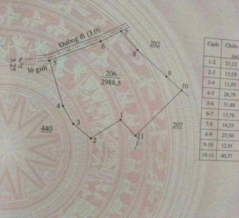 Lô đất 3 sào tại Tân Hội, Đức Trọng giá chỉ 2 tỷ - Đầu tư sinh lời ngay!