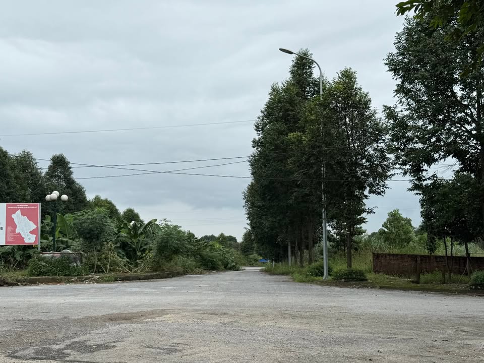 Đất nền Tái định cư ĐHQG Thạch Thất 100m² giá 6 tỷ - Đầu tư sinh lời ngay!