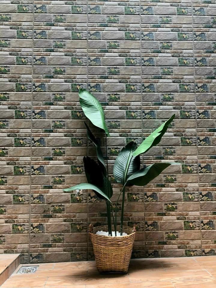 Nhà bán 2 mặt tiền hẻm xe hơi, Bùi Minh Trực, 36.3m² giá 4.7 tỷ - Kinh doanh sầm uất!