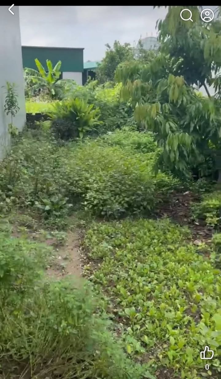 Nhà phố Nhị Khê 40m² giá 2.1 tỷ - Gần vành đai 4, tiềm năng tăng giá cao!