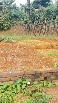 Đất nền Thanh Đình, Việt Trì 80m² giá 500 triệu - Cắt lỗ gấp, lợi nhuận cao!