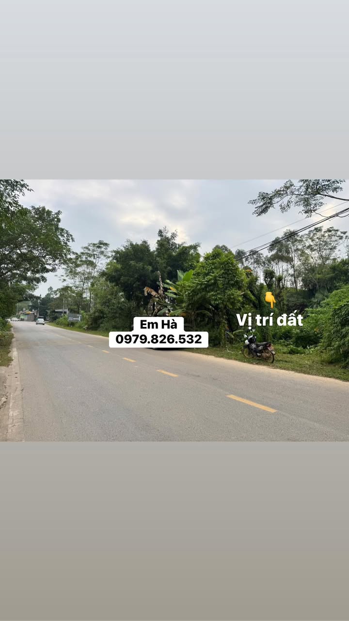 Đất thổ cư Cẩm Khê, Phú Thọ 182m² - Mặt tiền rộng, chính chủ bán gấp!