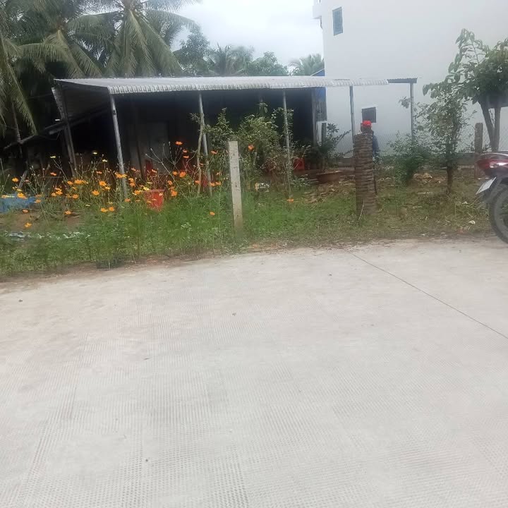 Đất nền xã Tân Hưng, Ba Tri 4321m² giá 450 triệu - Cơ hội đầu tư tuyệt vời!