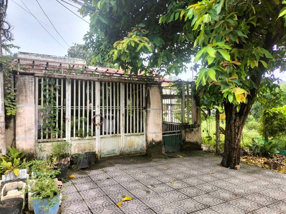 Nhà cấp 4 có gác lửng mặt tiền đường Gót Chàng - Củ Chi, 264m², giá 3.6 tỷ - Cơ hội đầu tư tuyệt vời!