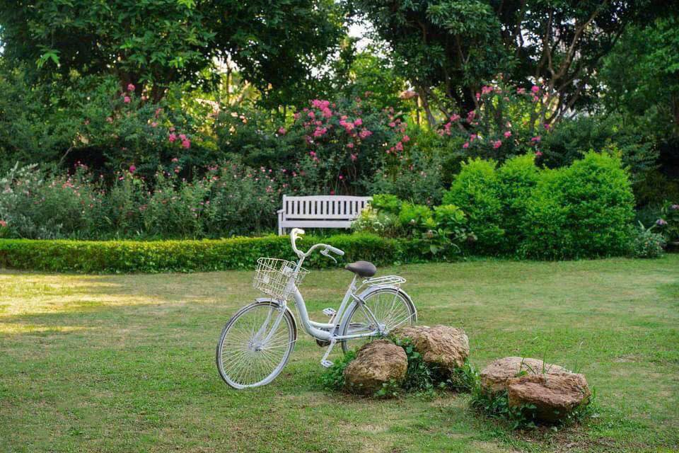 Đất vườn An Khánh 600m² giá thỏa thuận - Cơ hội hiếm có cho homestay hoặc kho xưởng!