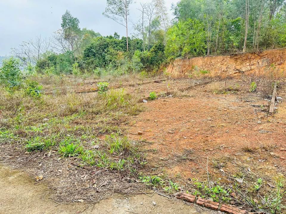 Đất nền phường Tân An, Yên Dũng 103m² - Giá thỏa thuận, ô tô vào tận nơi!