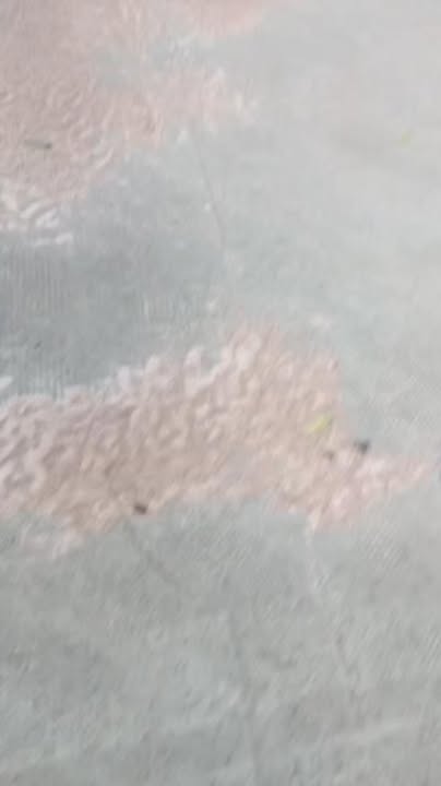 Đất góc 2 mặt tiền Chánh Phú Hòa 13438m² giá 45 tỷ - Tiềm năng phát triển cao!