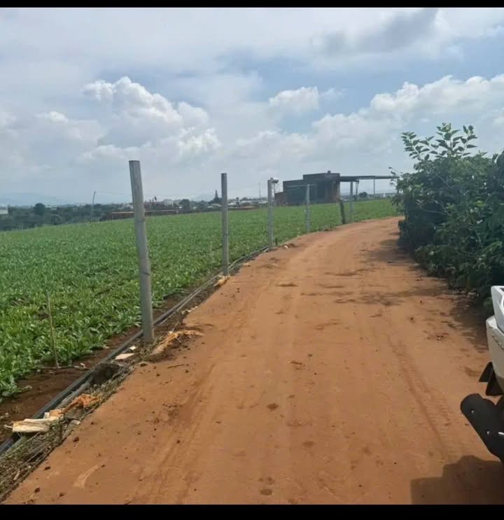 Đất nền phân lô Ba Cản Tân Hội 10.000m² giá 5.3 tỷ - Cơ hội đầu tư tuyệt vời!