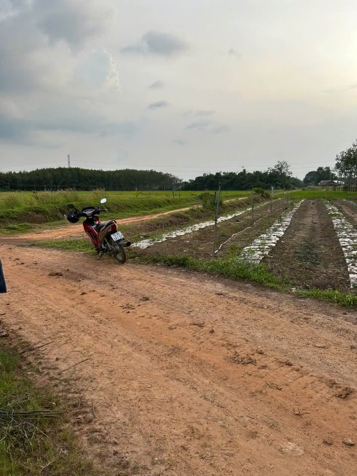 Đất nền Dương Minh Châu 2000m² giá 650 triệu - Cơ hội vàng đầu tư!