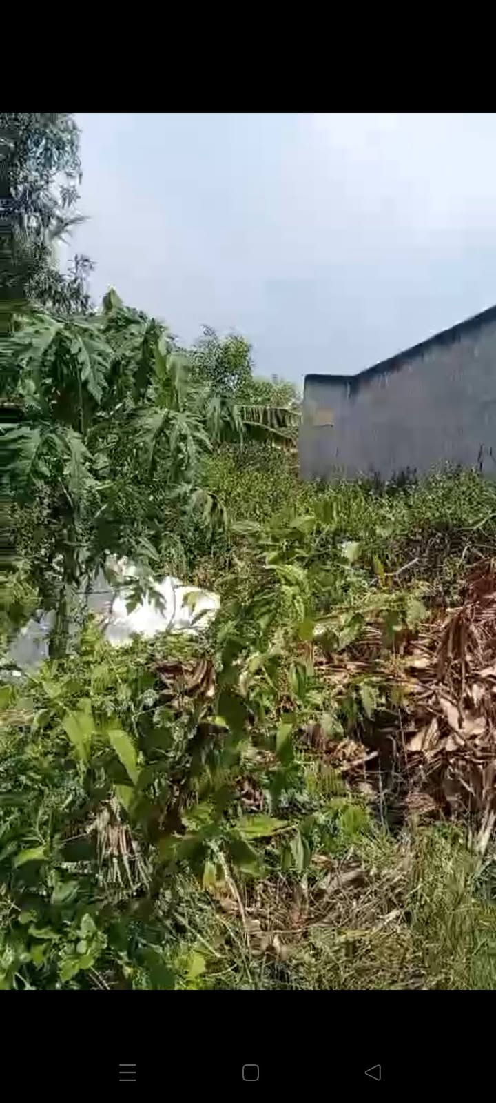 Đất nền Thạnh Hóa Long An 100m² giá chỉ 450 triệu - Cơ hội đầu tư tuyệt vời!