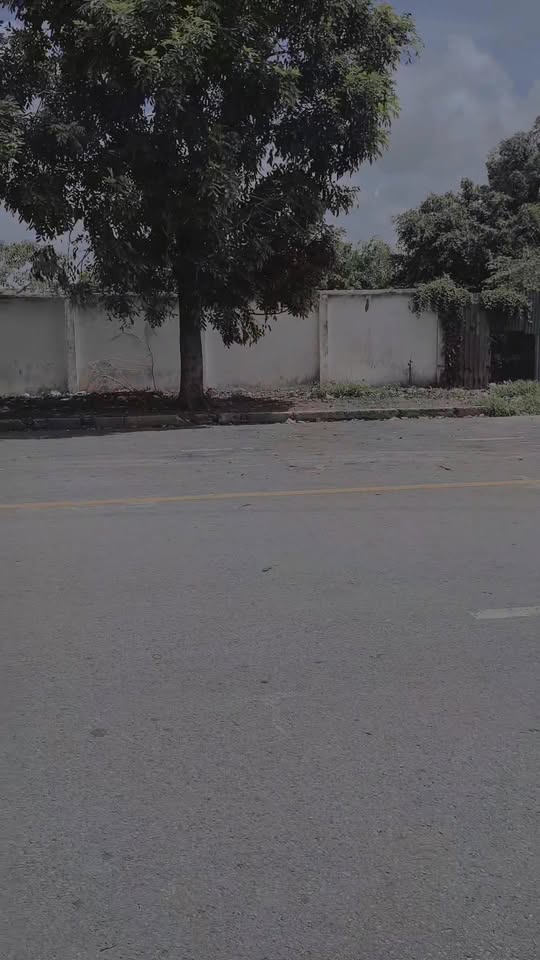 Đất mặt tiền xã Vĩnh Lộc A, Bình Chánh 1267m² - Cơ hội đầu tư sinh lời lớn!