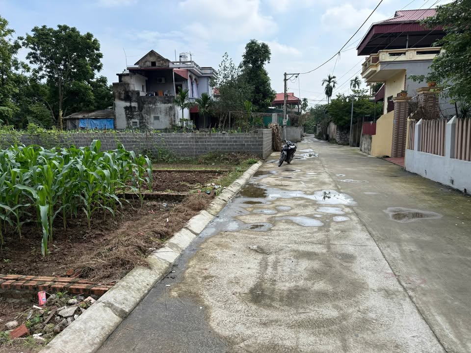 Lô đất thổ cư 93m² tại Trác Văn, Duy Tiên chỉ 1.6 tỷ - Cơ hội đầu tư tuyệt vời!